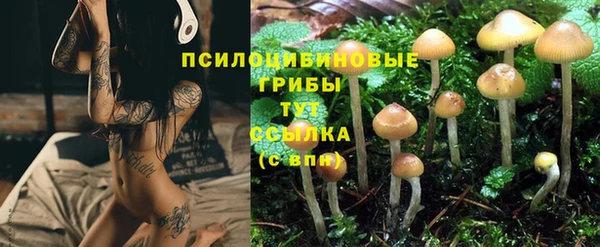 крисы Алексеевка
