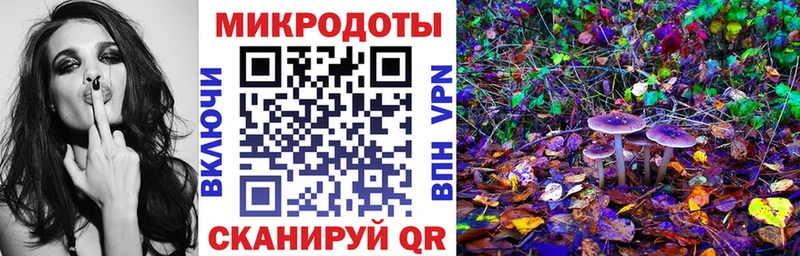 Галлюциногенные грибы Psilocybe  Ардатов 
